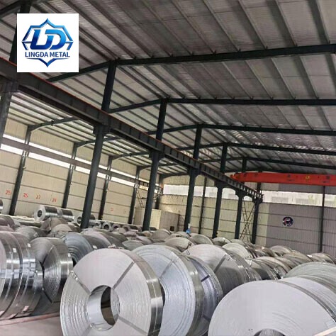 310 Stainless Strip