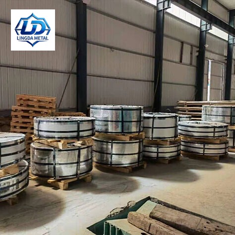 310 Stainless Strip